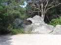 2017-06-01 16-53-15 Rando Fontainebleau DLe